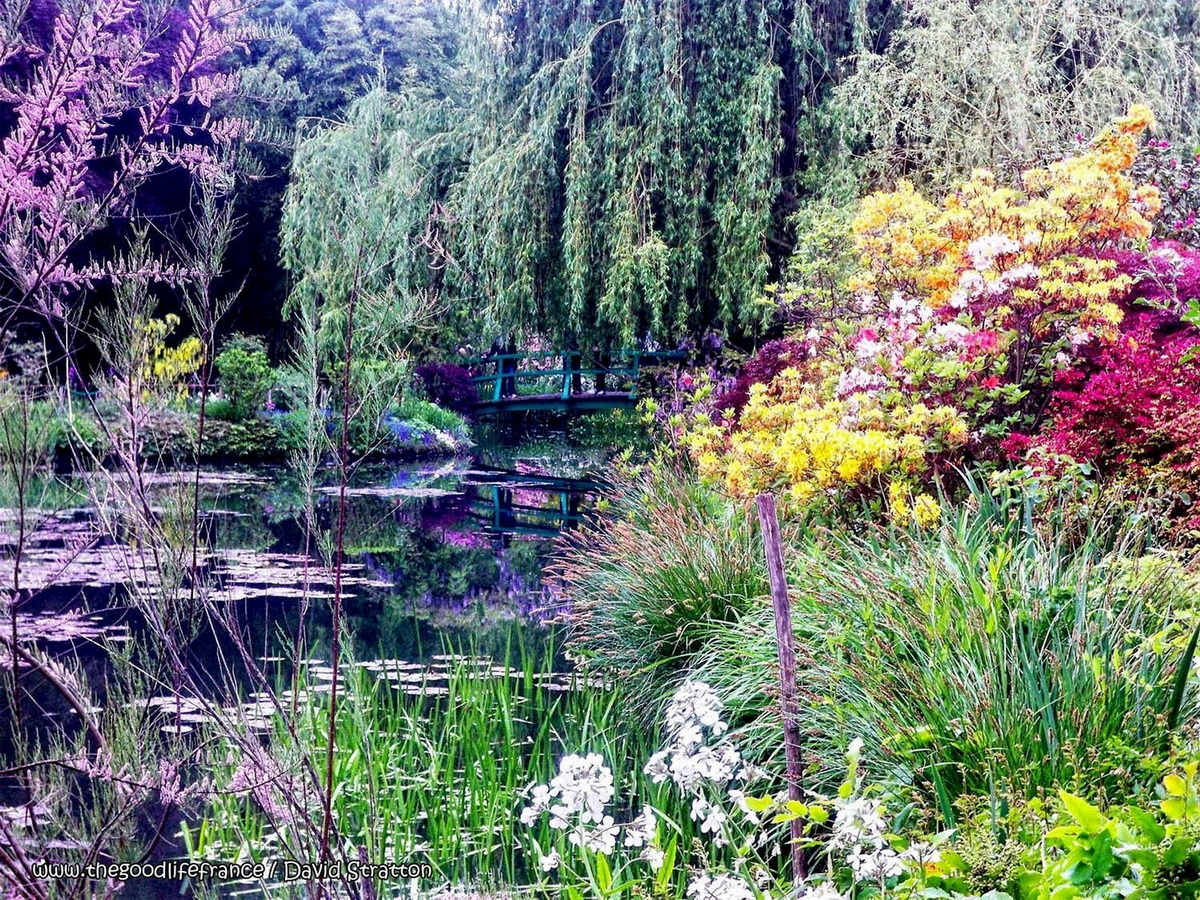 O15 jardin printemps