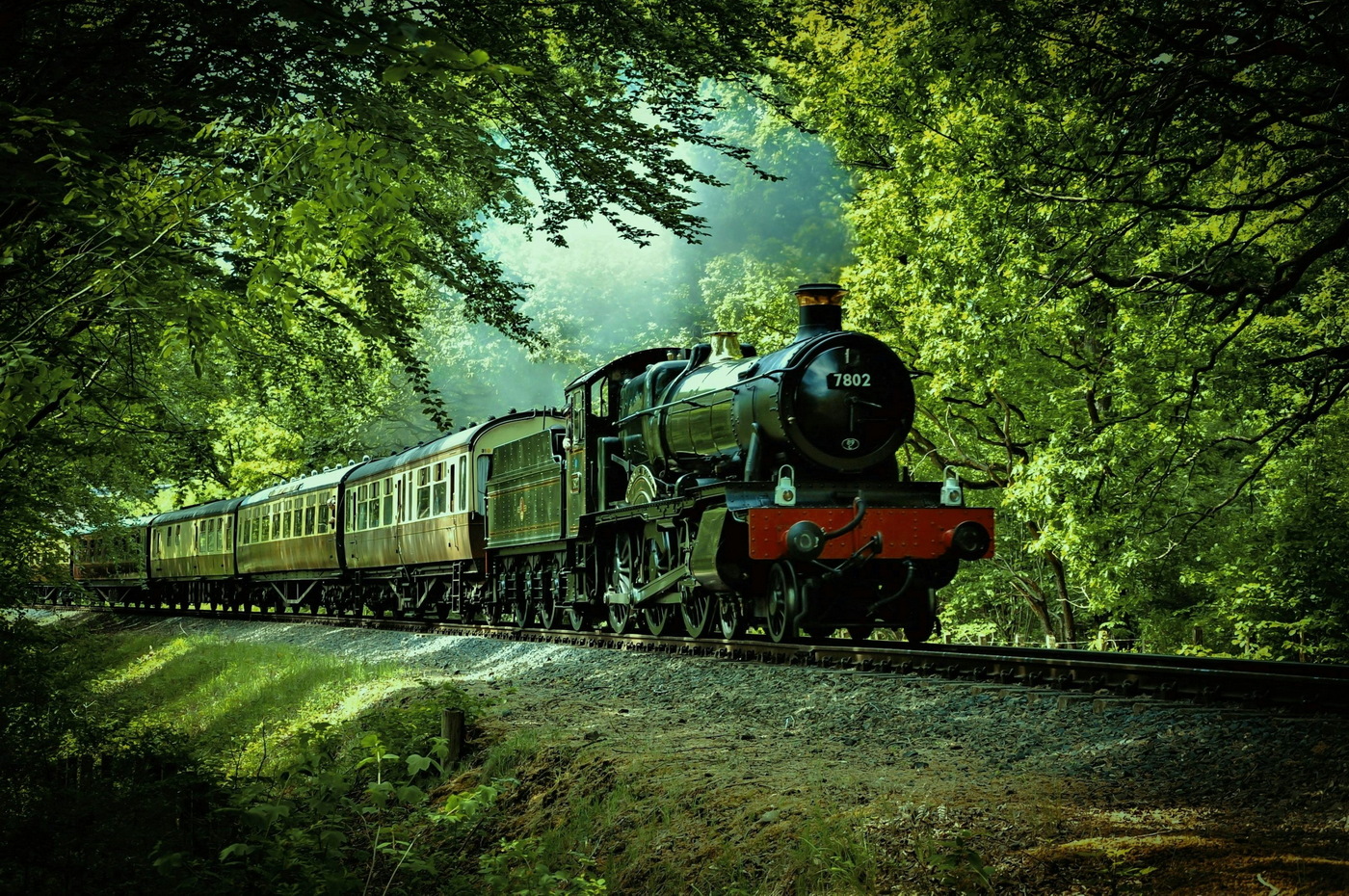 D28 train