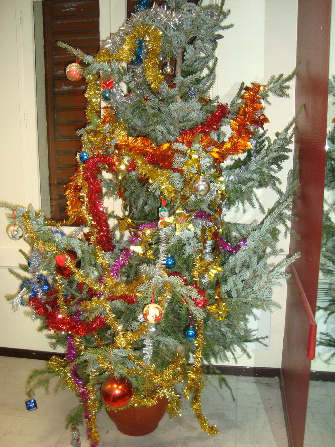 calendale 2013 001