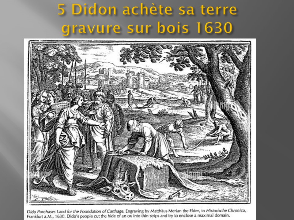 Diapo 13