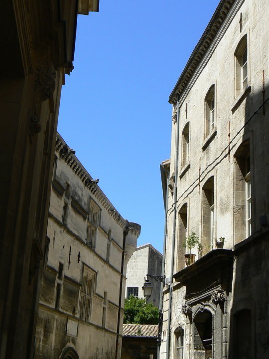 arles1_67