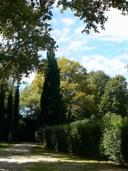 arles2_092
