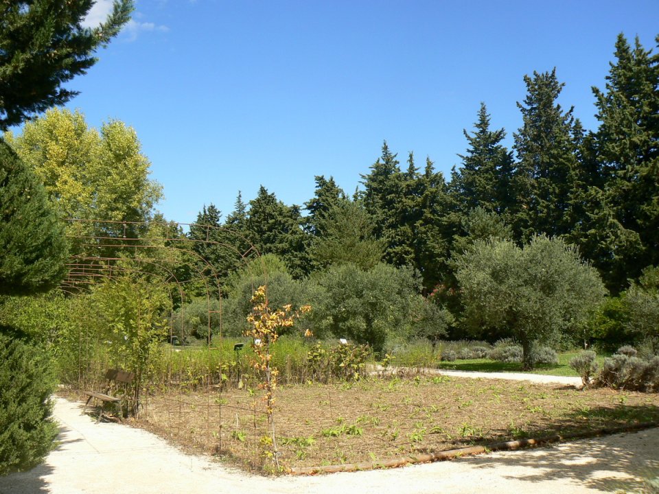 arles2_094