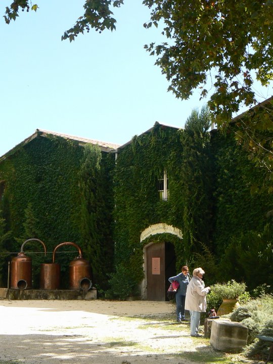 arles2_095