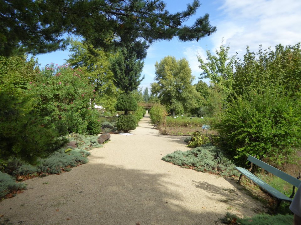 arles2_099