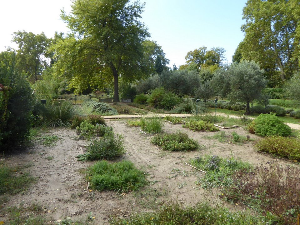 arles2_105