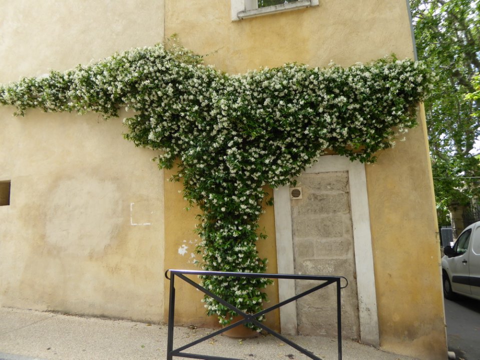 arles_2016_073