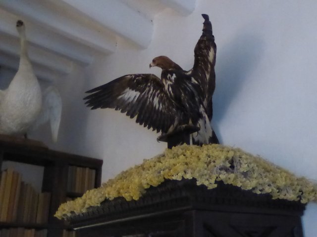 espagne_129