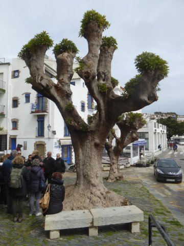 espagne_277