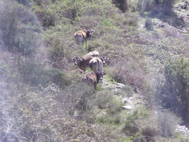 espagne_292