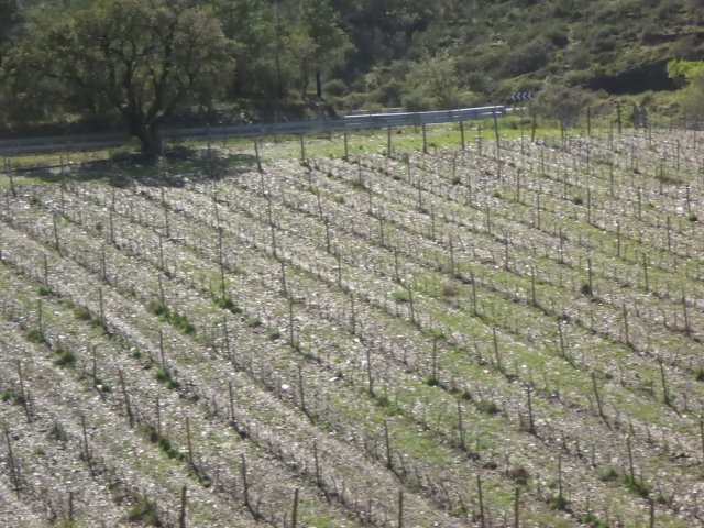 espagne_293