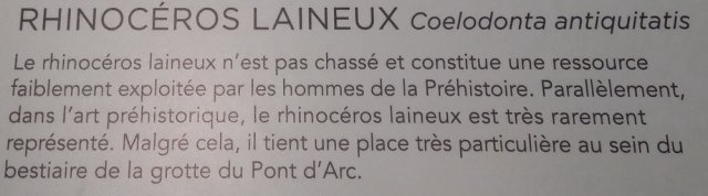 grotte_chauvet_57