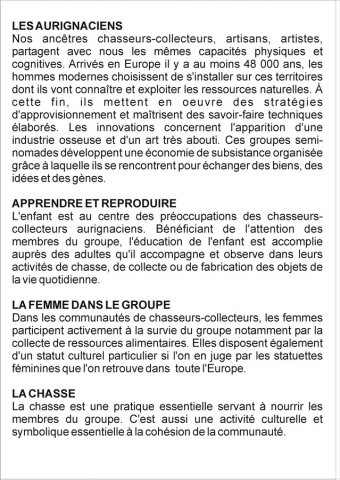 grotte_chauvet_66