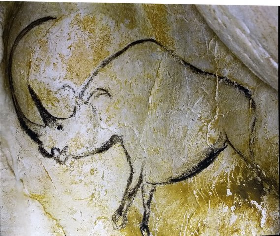 grotte_chauvet_72