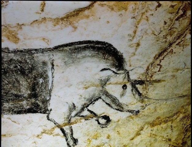 grotte_chauvet_77