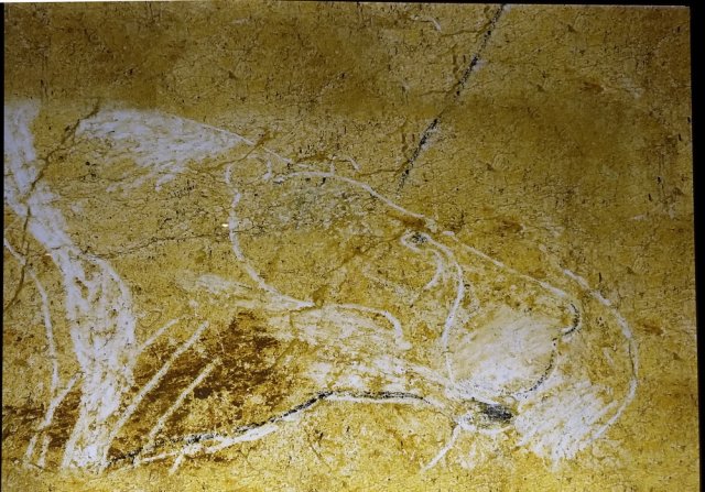 grotte_chauvet_78