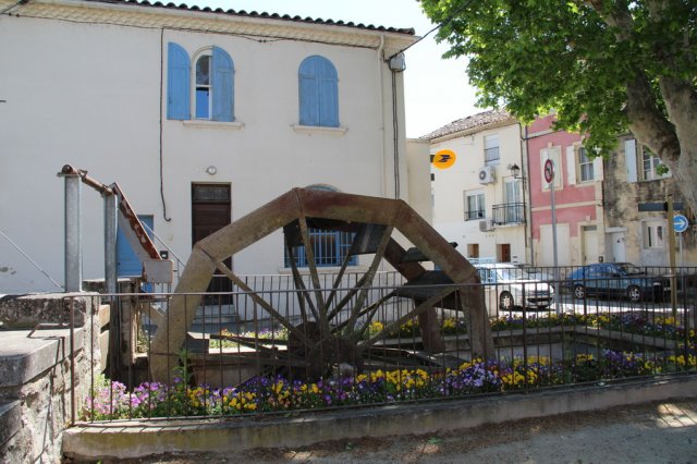 maillane_18