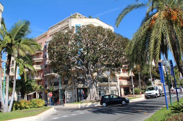 menton_18
