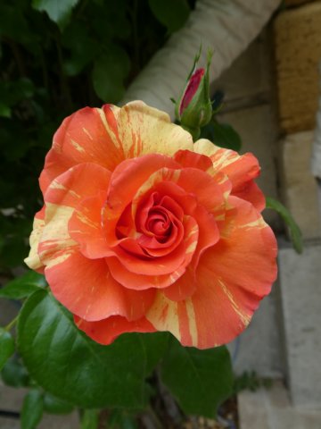 salon_2018_251