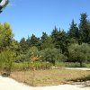 arles2_094