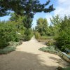 arles2_099
