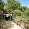 arles2_100