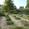 arles2_105