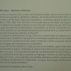 arles2_123