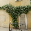 arles_2016_073