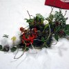 Calendale 2011