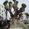 espagne_277