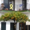 espagne_279