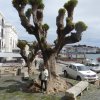 espagne_280
