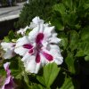 espagne_289
