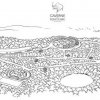 grotte_chauvet_04