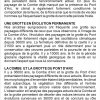 Sortie à la Grotte Chauvet » L'après-midi : le musée