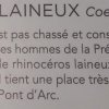 grotte_chauvet_57