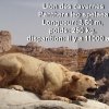 grotte_chauvet_59