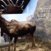 grotte_chauvet_61