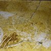 grotte_chauvet_78