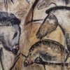 grotte_chauvet_79