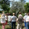 manosque_12