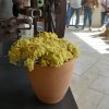 manosque_79