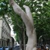 nimes_60