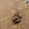 pezenas_070