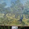 stremy_037