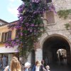 verone_2017_137